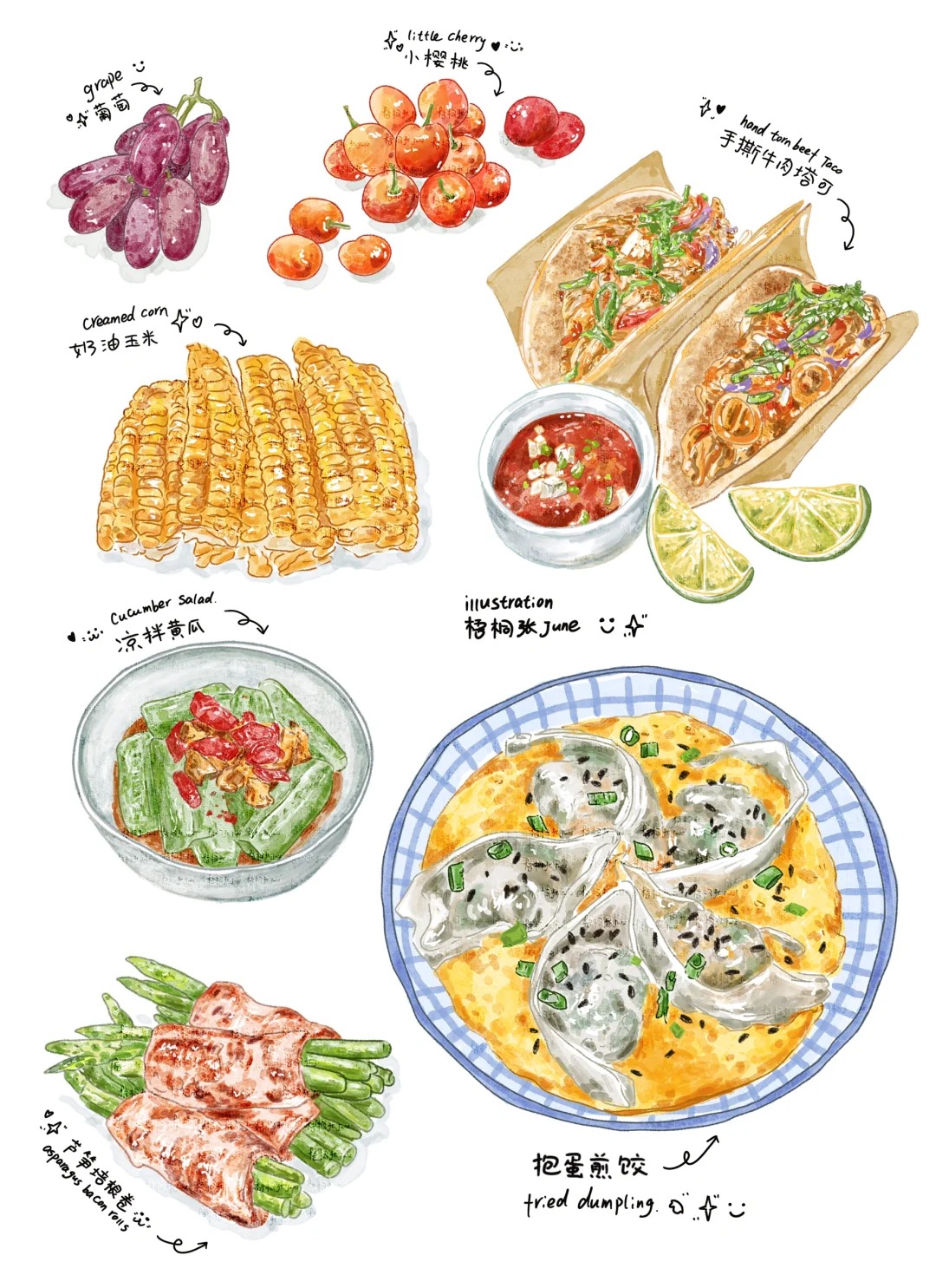插画日记D28丨美食丨抱蛋煎饺丨牛肉塔可